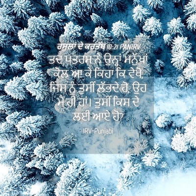 Picture 04 - ਰਸੂਲਾਂ ਦੇ ਕਰਤੱਬ 10:21 PANIRV - ਤਦ ਪਤਰਸ ਨੇ ਉਨ੍ਹਾਂ - Bible Verse Picture