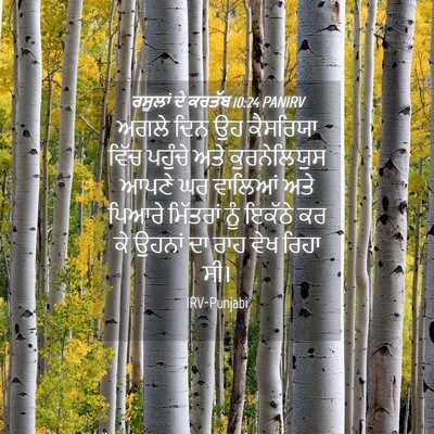 Picture 04 - ਰਸੂਲਾਂ ਦੇ ਕਰਤੱਬ 10:24 PANIRV - ਅਗਲੇ ਦਿਨ ਉਹ - Bible Verse Picture