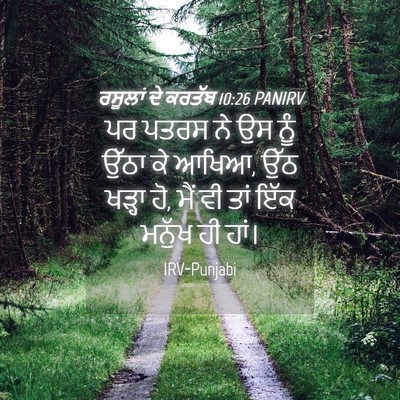 Picture 04 - ਰਸੂਲਾਂ ਦੇ ਕਰਤੱਬ 10:26 PANIRV - ਪਰ ਪਤਰਸ ਨੇ ਉਸ ਨੂੰ - Bible Verse Picture