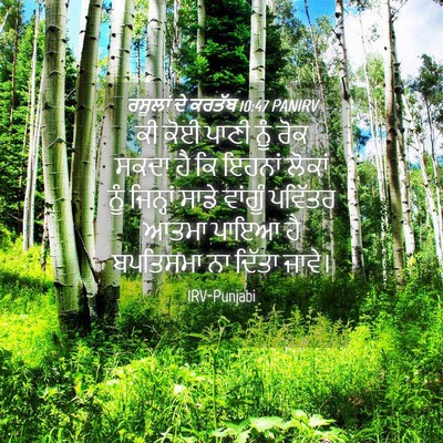 Picture 04 - ਰਸੂਲਾਂ ਦੇ ਕਰਤੱਬ 10:47 PANIRV - ਕੀ ਕੋਈ ਪਾਣੀ ਨੂੰ ਰੋਕ - Bible Verse Picture