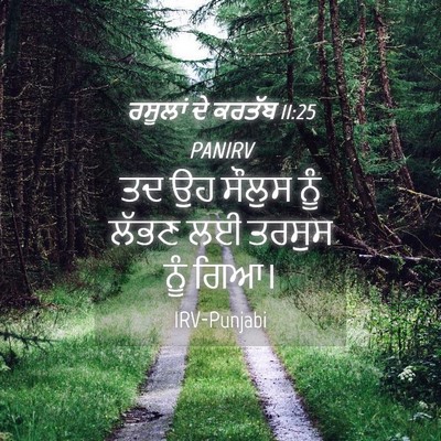 Picture 04 - ਰਸੂਲਾਂ ਦੇ ਕਰਤੱਬ 11:25 PANIRV - ਤਦ ਉਹ ਸੌਲੁਸ ਨੂੰ - Bible Verse Picture