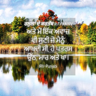 Picture 04 - ਰਸੂਲਾਂ ਦੇ ਕਰਤੱਬ 11:7 PANIRV - ਅਤੇ ਮੈਂ ਇੱਕ ਅਵਾਜ਼ - Bible Verse Picture