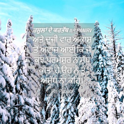 Picture 04 - ਰਸੂਲਾਂ ਦੇ ਕਰਤੱਬ 11:9 PANIRV - ਅਤੇ ਦੂਜੀ ਵਾਰ ਅਕਾਸ਼ - Bible Verse Picture