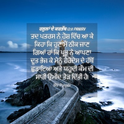 Picture 04 - ਰਸੂਲਾਂ ਦੇ ਕਰਤੱਬ 12:11 PANIRV - ਤਦ ਪਤਰਸ ਨੇ ਹੋਸ਼ - Bible Verse Picture