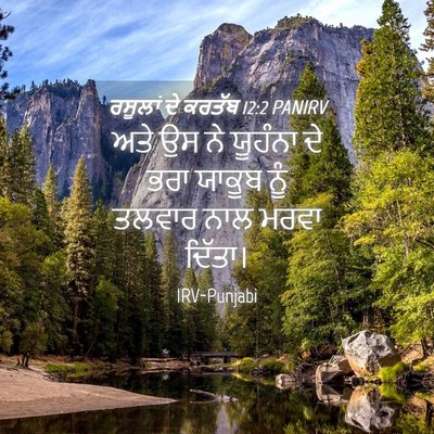 Picture 04 - ਰਸੂਲਾਂ ਦੇ ਕਰਤੱਬ 12:2 PANIRV - ਅਤੇ ਉਸ ਨੇ ਯੂਹੰਨਾ ਦੇ - Bible Verse Picture