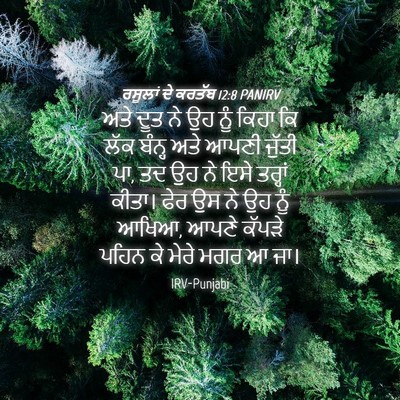 Picture 04 - ਰਸੂਲਾਂ ਦੇ ਕਰਤੱਬ 12:8 PANIRV - ਅਤੇ ਦੂਤ ਨੇ ਉਹ ਨੂੰ - Bible Verse Picture