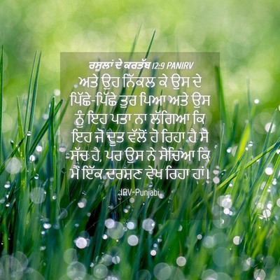 Picture 04 - ਰਸੂਲਾਂ ਦੇ ਕਰਤੱਬ 12:9 PANIRV - ਅਤੇ ਉਹ ਨਿੱਕਲ ਕੇ ਉਸ - Bible Verse Picture