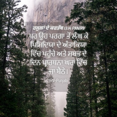 Picture 04 - ਰਸੂਲਾਂ ਦੇ ਕਰਤੱਬ 13:14 PANIRV - ਪਰ ਉਹ ਪਰਗਾ ਤੋਂ ਲੰਘ - Bible Verse Picture