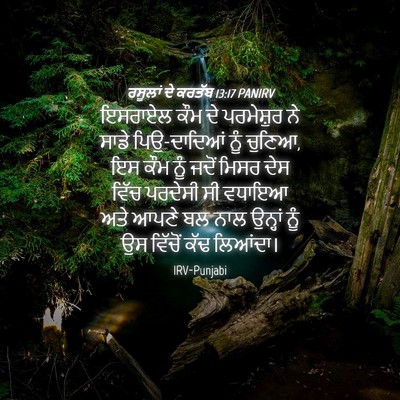 Picture 04 - ਰਸੂਲਾਂ ਦੇ ਕਰਤੱਬ 13:17 PANIRV - ਇਸਰਾਏਲ ਕੌਮ ਦੇ - Bible Verse Picture