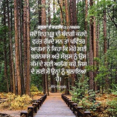 Picture 04 - ਰਸੂਲਾਂ ਦੇ ਕਰਤੱਬ 13:2 PANIRV - ਜਦੋਂ ਇਹ ਪ੍ਰਭੂ ਦੀ - Bible Verse Picture