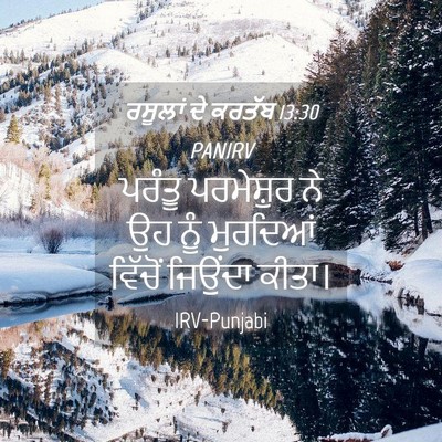 Picture 04 - ਰਸੂਲਾਂ ਦੇ ਕਰਤੱਬ 13:30 PANIRV - ਪਰੰਤੂ ਪਰਮੇਸ਼ੁਰ ਨੇ - Bible Verse Picture