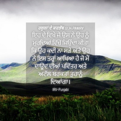 Picture 04 - ਰਸੂਲਾਂ ਦੇ ਕਰਤੱਬ 13:34 PANIRV - ਇਹ ਦੇ ਵਿਖੇ ਜੋ ਉਸ ਨੇ - Bible Verse Picture