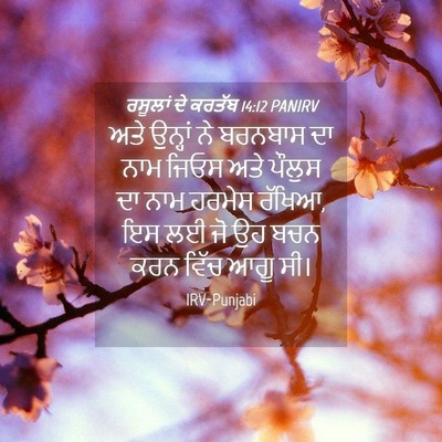 Picture 04 - ਰਸੂਲਾਂ ਦੇ ਕਰਤੱਬ 14:12 PANIRV - ਅਤੇ ਉਨ੍ਹਾਂ ਨੇ - Bible Verse Picture