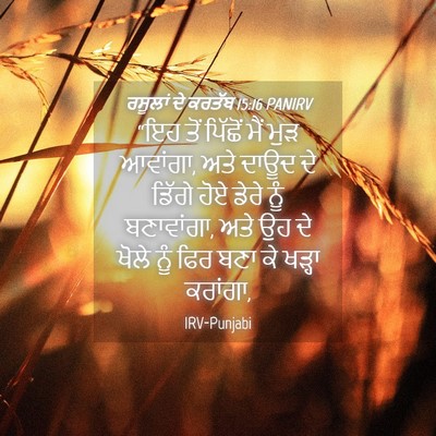 Picture 04 - ਰਸੂਲਾਂ ਦੇ ਕਰਤੱਬ 15:16 PANIRV - “ਇਹ ਤੋਂ ਪਿੱਛੋਂ ਮੈਂ - Bible Verse Picture