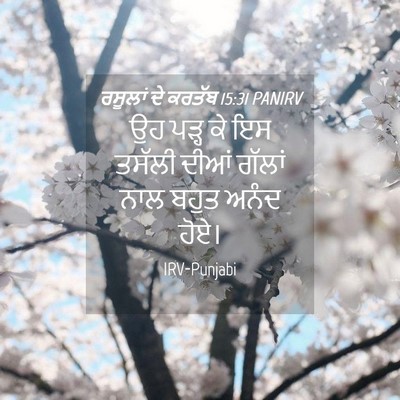 Picture 04 - ਰਸੂਲਾਂ ਦੇ ਕਰਤੱਬ 15:31 PANIRV - ਉਹ ਪੜ੍ਹ ਕੇ ਇਸ ਤਸੱਲੀ - Bible Verse Picture