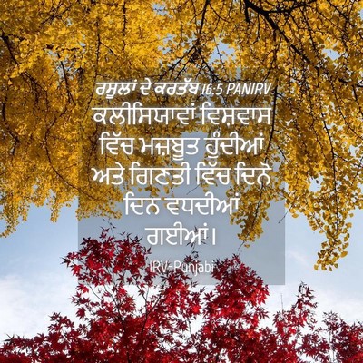 Picture 04 - ਰਸੂਲਾਂ ਦੇ ਕਰਤੱਬ 16:5 PANIRV - ਕਲੀਸਿਯਾਵਾਂ - Bible Verse Picture