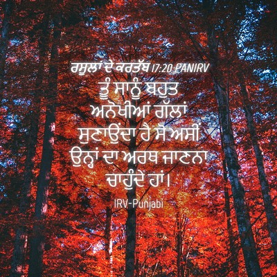 Picture 04 - ਰਸੂਲਾਂ ਦੇ ਕਰਤੱਬ 17:20 PANIRV - ਤੂੰ ਸਾਨੂੰ ਬਹੁਤ - Bible Verse Picture