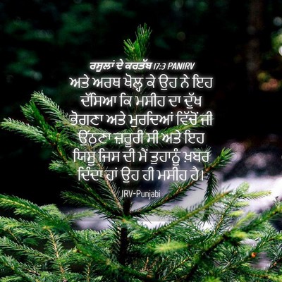 Picture 04 - ਰਸੂਲਾਂ ਦੇ ਕਰਤੱਬ 17:3 PANIRV - ਅਤੇ ਅਰਥ ਖੋਲ੍ਹ ਕੇ ਉਹ - Bible Verse Picture