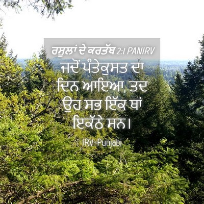 Picture 04 - ਰਸੂਲਾਂ ਦੇ ਕਰਤੱਬ 2:1 PANIRV - ਜਦੋਂ ਪੰਤੇਕੁਸਤ ਦਾ - Bible Verse Picture