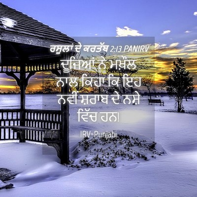 Picture 04 - ਰਸੂਲਾਂ ਦੇ ਕਰਤੱਬ 2:13 PANIRV - ਦੂਜਿਆਂ ਨੇ ਮਖ਼ੌਲ - Bible Verse Picture