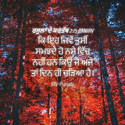 Picture 04 - ਰਸੂਲਾਂ ਦੇ ਕਰਤੱਬ 2:15 PANIRV - ਕਿ ਇਹ ਜਿਵੇਂ ਤੁਸੀਂ - Bible Verse Picture