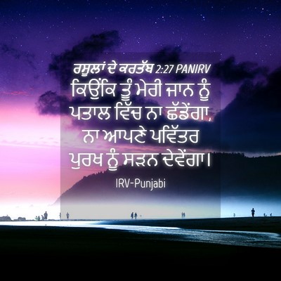 Picture 04 - ਰਸੂਲਾਂ ਦੇ ਕਰਤੱਬ 2:27 PANIRV - ਕਿਉਂਕਿ ਤੂੰ ਮੇਰੀ - Bible Verse Picture