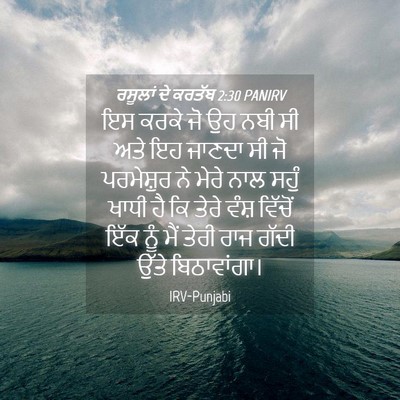 Picture 04 - ਰਸੂਲਾਂ ਦੇ ਕਰਤੱਬ 2:30 PANIRV - ਇਸ ਕਰਕੇ ਜੋ ਉਹ ਨਬੀ - Bible Verse Picture