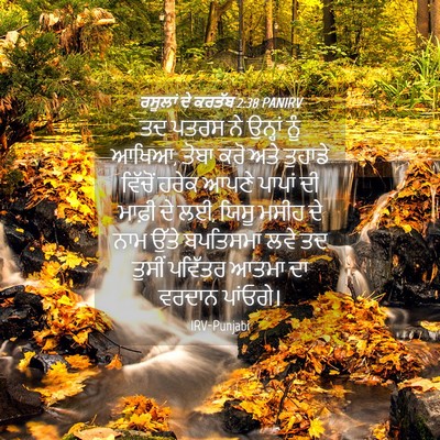 Picture 04 - ਰਸੂਲਾਂ ਦੇ ਕਰਤੱਬ 2:38 PANIRV - ਤਦ ਪਤਰਸ ਨੇ ਉਨ੍ਹਾਂ - Bible Verse Picture