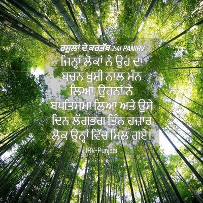 Picture 04 - ਰਸੂਲਾਂ ਦੇ ਕਰਤੱਬ 2:41 PANIRV - ਜਿਨ੍ਹਾਂ ਲੋਕਾਂ ਨੇ - Bible Verse Picture
