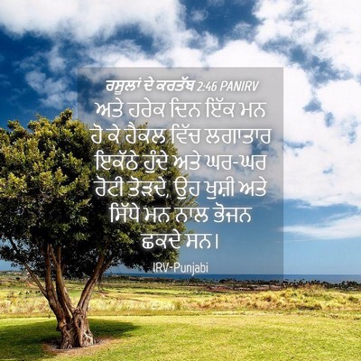 Picture 04 - ਰਸੂਲਾਂ ਦੇ ਕਰਤੱਬ 2:46 PANIRV - ਅਤੇ ਹਰੇਕ ਦਿਨ ਇੱਕ ਮਨ - Bible Verse Picture