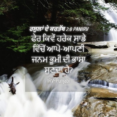 Picture 04 - ਰਸੂਲਾਂ ਦੇ ਕਰਤੱਬ 2:8 PANIRV - ਫੇਰ ਕਿਵੇਂ ਹਰੇਕ - Bible Verse Picture
