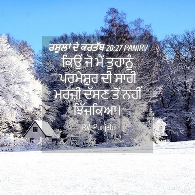 Picture 04 - ਰਸੂਲਾਂ ਦੇ ਕਰਤੱਬ 20:27 PANIRV - ਕਿਉਂ ਜੋ ਮੈਂ - Bible Verse Picture