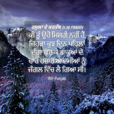 Picture 04 - ਰਸੂਲਾਂ ਦੇ ਕਰਤੱਬ 21:38 PANIRV - ਕੀ ਤੂੰ ਉਹੋ ਮਿਸਰੀ - Bible Verse Picture