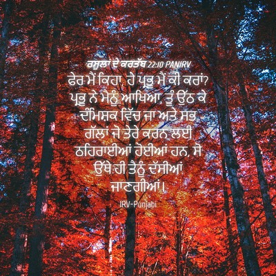 Picture 04 - ਰਸੂਲਾਂ ਦੇ ਕਰਤੱਬ 22:10 PANIRV - ਫੇਰ ਮੈਂ ਕਿਹਾ, ਹੇ - Bible Verse Picture