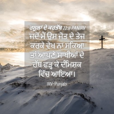 Picture 04 - ਰਸੂਲਾਂ ਦੇ ਕਰਤੱਬ 22:11 PANIRV - ਜਦੋਂ ਮੈਂ ਉਸ ਜੋਤ ਦੇ - Bible Verse Picture
