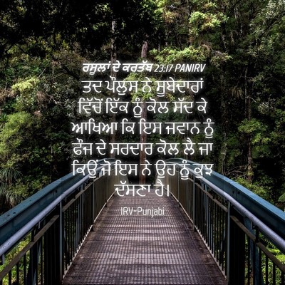 Picture 04 - ਰਸੂਲਾਂ ਦੇ ਕਰਤੱਬ 23:17 PANIRV - ਤਦ ਪੌਲੁਸ ਨੇ - Bible Verse Picture