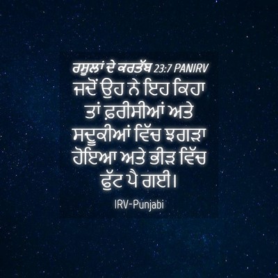 Picture 04 - ਰਸੂਲਾਂ ਦੇ ਕਰਤੱਬ 23:7 PANIRV - ਜਦੋਂ ਉਹ ਨੇ ਇਹ ਕਿਹਾ - Bible Verse Picture
