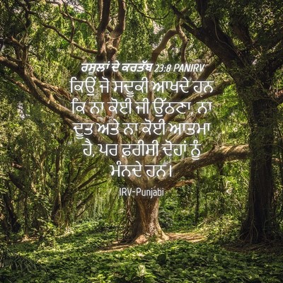Picture 04 - ਰਸੂਲਾਂ ਦੇ ਕਰਤੱਬ 23:8 PANIRV - ਕਿਉਂ ਜੋ ਸਦੂਕੀ ਆਖਦੇ - Bible Verse Picture