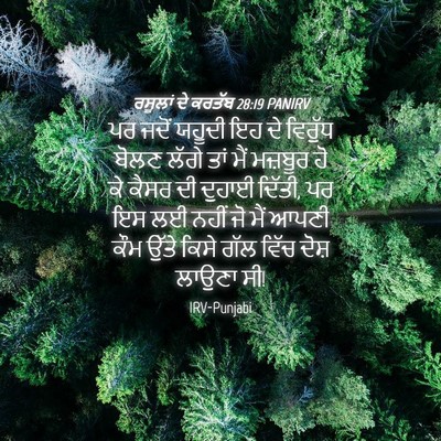 Picture 04 - ਰਸੂਲਾਂ ਦੇ ਕਰਤੱਬ 28:19 PANIRV - ਪਰ ਜਦੋਂ ਯਹੂਦੀ ਇਹ ਦੇ - Bible Verse Picture