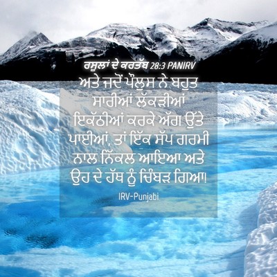 Picture 04 - ਰਸੂਲਾਂ ਦੇ ਕਰਤੱਬ 28:3 PANIRV - ਅਤੇ ਜਦੋਂ ਪੌਲੁਸ ਨੇ - Bible Verse Picture