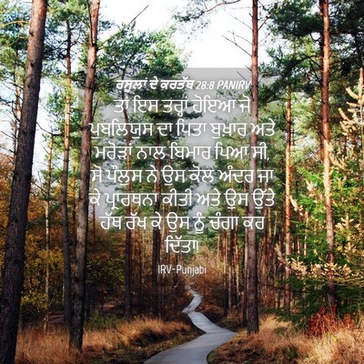 Picture 04 - ਰਸੂਲਾਂ ਦੇ ਕਰਤੱਬ 28:8 PANIRV - ਤਾਂ ਇਸ ਤਰ੍ਹਾਂ ਹੋਇਆ - Bible Verse Picture