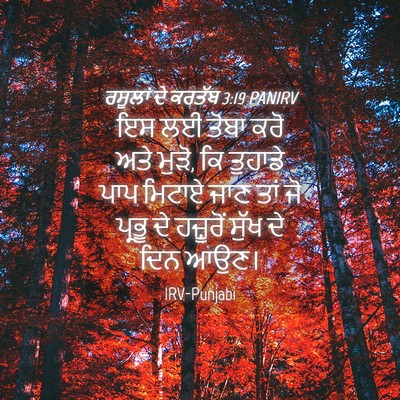 Picture 04 - ਰਸੂਲਾਂ ਦੇ ਕਰਤੱਬ 3:19 PANIRV - ਇਸ ਲਈ ਤੋਬਾ ਕਰੋ ਅਤੇ - Bible Verse Picture