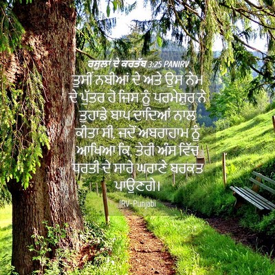 Picture 04 - ਰਸੂਲਾਂ ਦੇ ਕਰਤੱਬ 3:25 PANIRV - ਤੁਸੀਂ ਨਬੀਆਂ ਦੇ ਅਤੇ - Bible Verse Picture