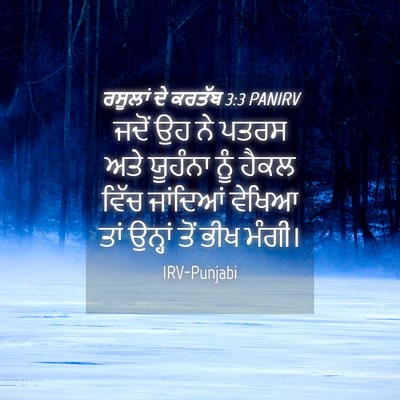 Picture 04 - ਰਸੂਲਾਂ ਦੇ ਕਰਤੱਬ 3:3 PANIRV - ਜਦੋਂ ਉਹ ਨੇ ਪਤਰਸ ਅਤੇ - Bible Verse Picture