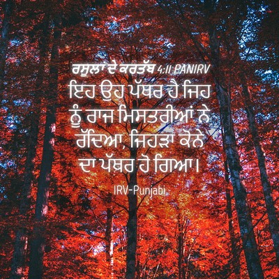 Picture 04 - ਰਸੂਲਾਂ ਦੇ ਕਰਤੱਬ 4:11 PANIRV - ਇਹ ਉਹ ਪੱਥਰ ਹੈ ਜਿਹ - Bible Verse Picture