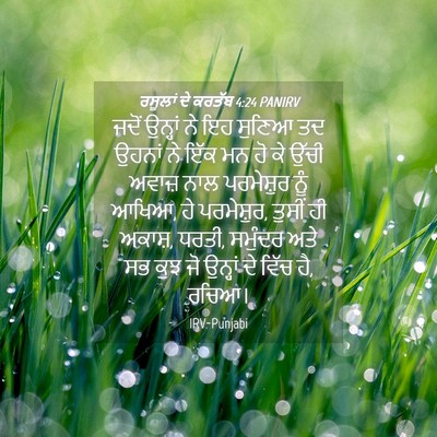 Picture 04 - ਰਸੂਲਾਂ ਦੇ ਕਰਤੱਬ 4:24 PANIRV - ਜਦੋਂ ਉਨ੍ਹਾਂ ਨੇ ਇਹ - Bible Verse Picture