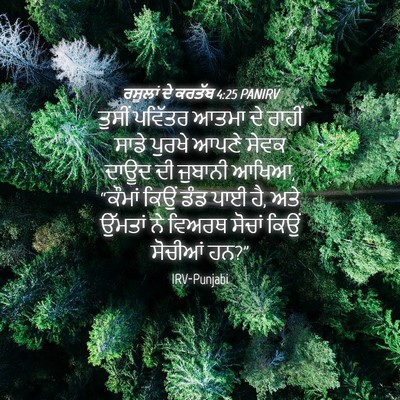 Picture 04 - ਰਸੂਲਾਂ ਦੇ ਕਰਤੱਬ 4:25 PANIRV - ਤੁਸੀਂ ਪਵਿੱਤਰ ਆਤਮਾ - Bible Verse Picture