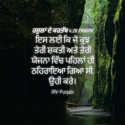 Picture 04 - ਰਸੂਲਾਂ ਦੇ ਕਰਤੱਬ 4:28 PANIRV - ਇਸ ਲਈ ਕਿ ਜੋ ਕੁਝ - Bible Verse Picture