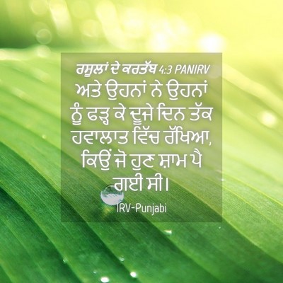 Picture 04 - ਰਸੂਲਾਂ ਦੇ ਕਰਤੱਬ 4:3 PANIRV - ਅਤੇ ਉਹਨਾਂ ਨੇ ਉਹਨਾਂ - Bible Verse Picture