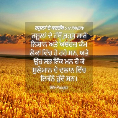 Picture 04 - ਰਸੂਲਾਂ ਦੇ ਕਰਤੱਬ 5:12 PANIRV - ਰਸੂਲਾਂ ਦੇ ਹੱਥੋਂ - Bible Verse Picture